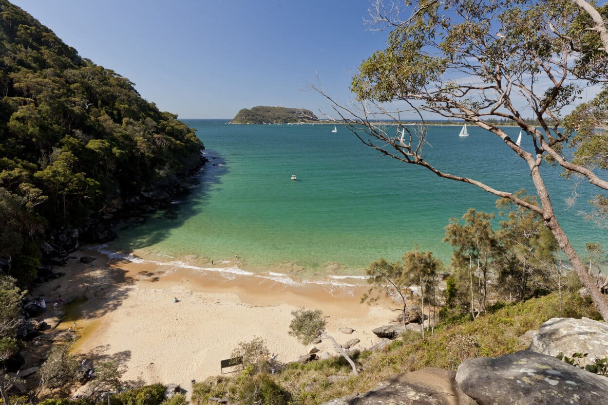 Resolute Loop Track, New South Wales walk