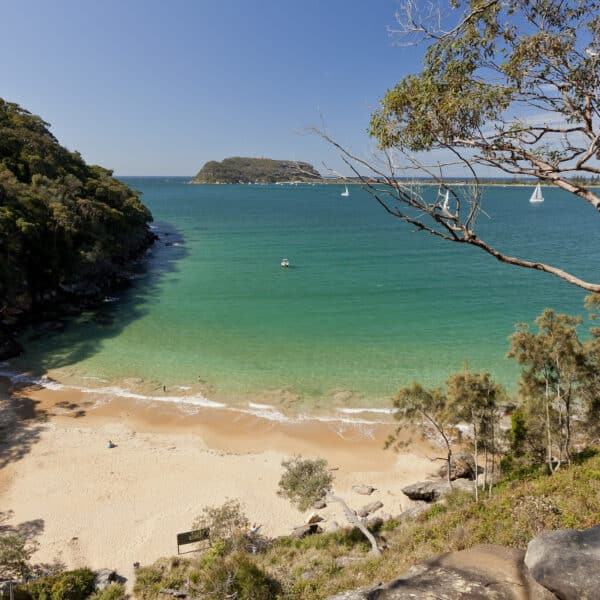 Resolute Loop Track, New South Wales walk