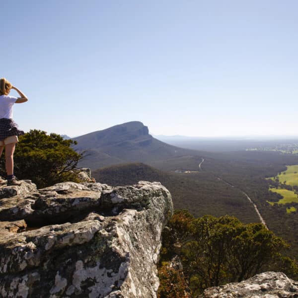 Mt Sturgeon Track, Victoria