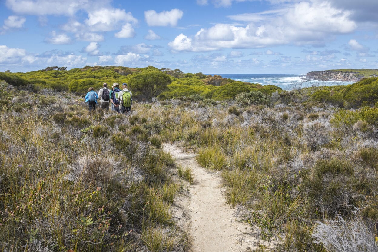 Bittangabee Bay Walk, New South Wales