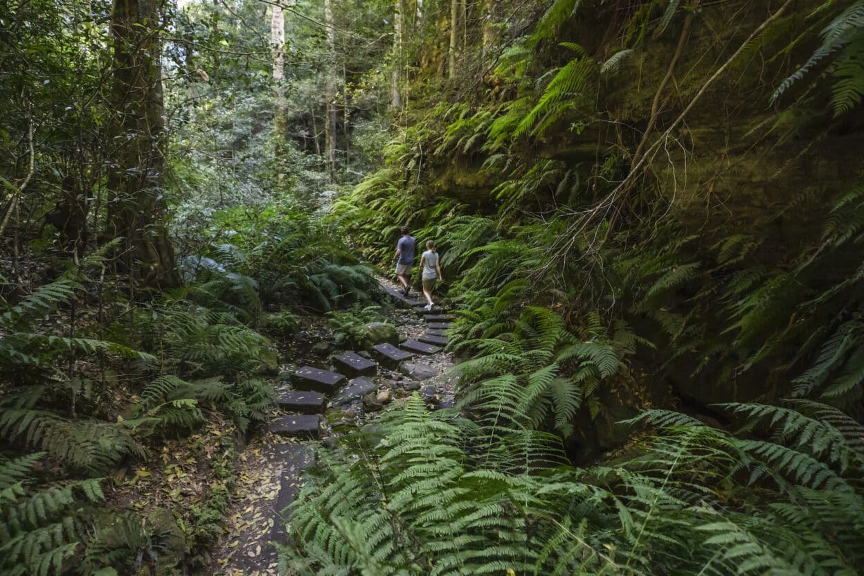 Grand Canyon Walking Track, Blackheath