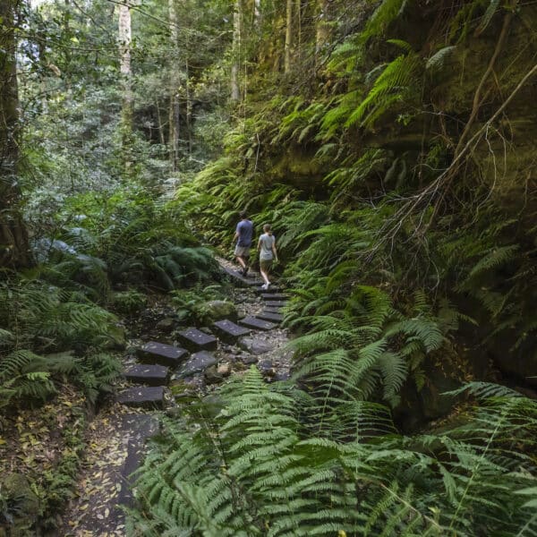 Grand Canyon Walking Track, Blackheath