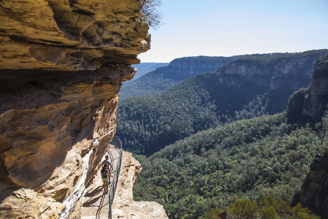 Wentworth Falls Track, New South Wales