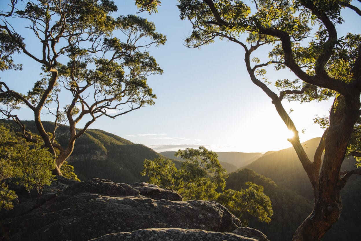 Vale of Avoca Loop, New South Wales walk