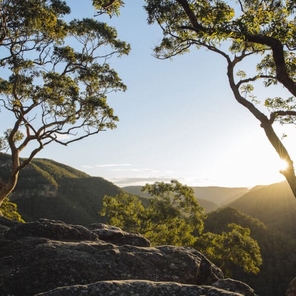 Vale of Avoca Loop, New South Wales walk