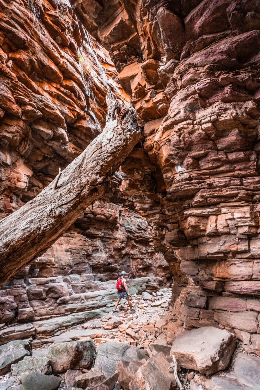 Alligator Gorge walk, South Australia