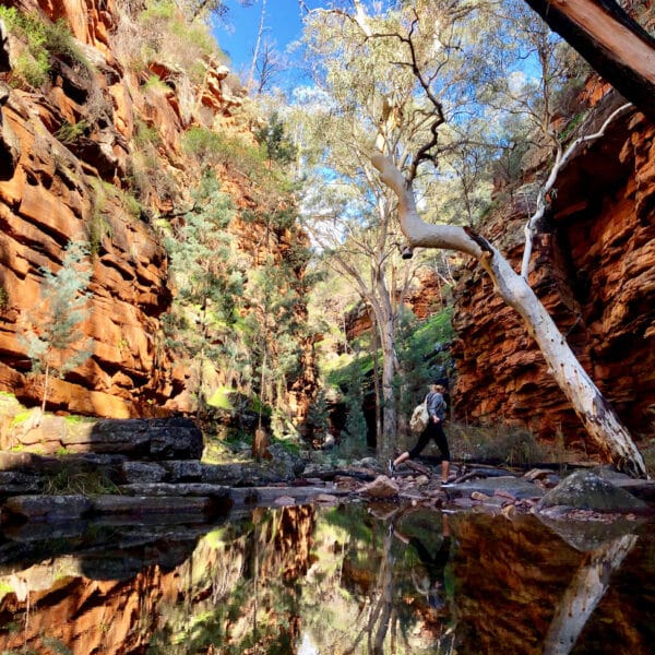 alligator Gorge walk, South Australia