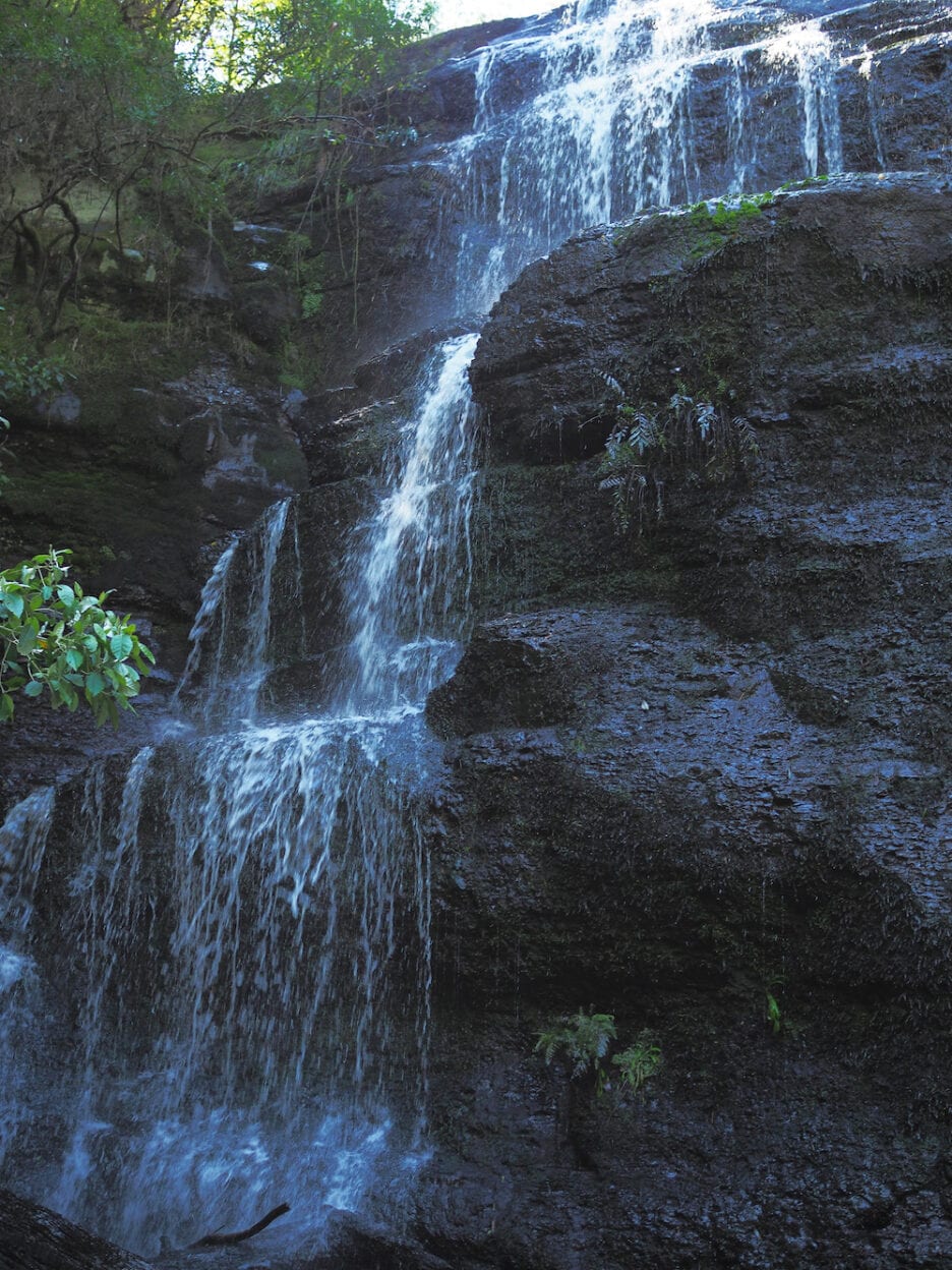 Three Falls Circuit, Victoria walk