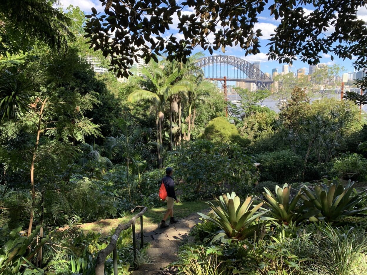 Lavender Bay, New South Wales walk