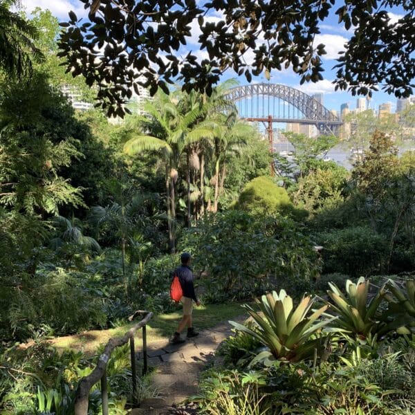 Lavender Bay, New South Wales walk