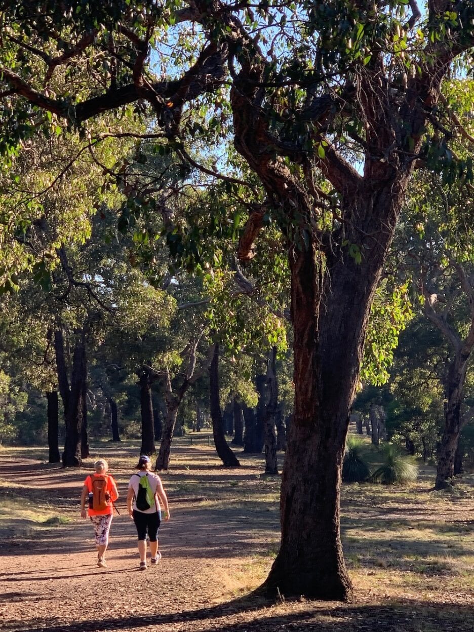 Ironbark Basin, Victoria walk