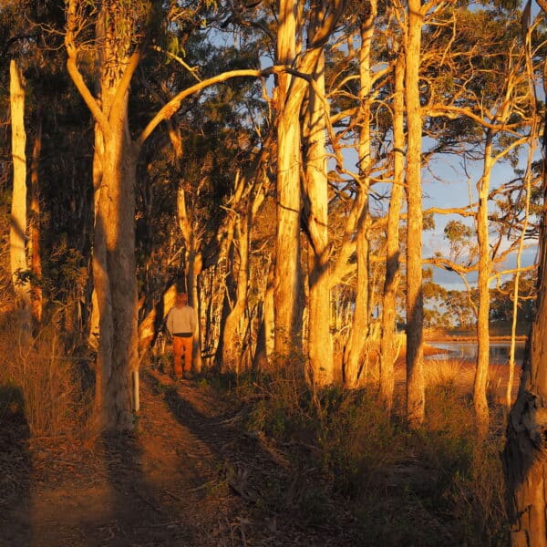 Middle Lagoon Circuit, New South Wales walk