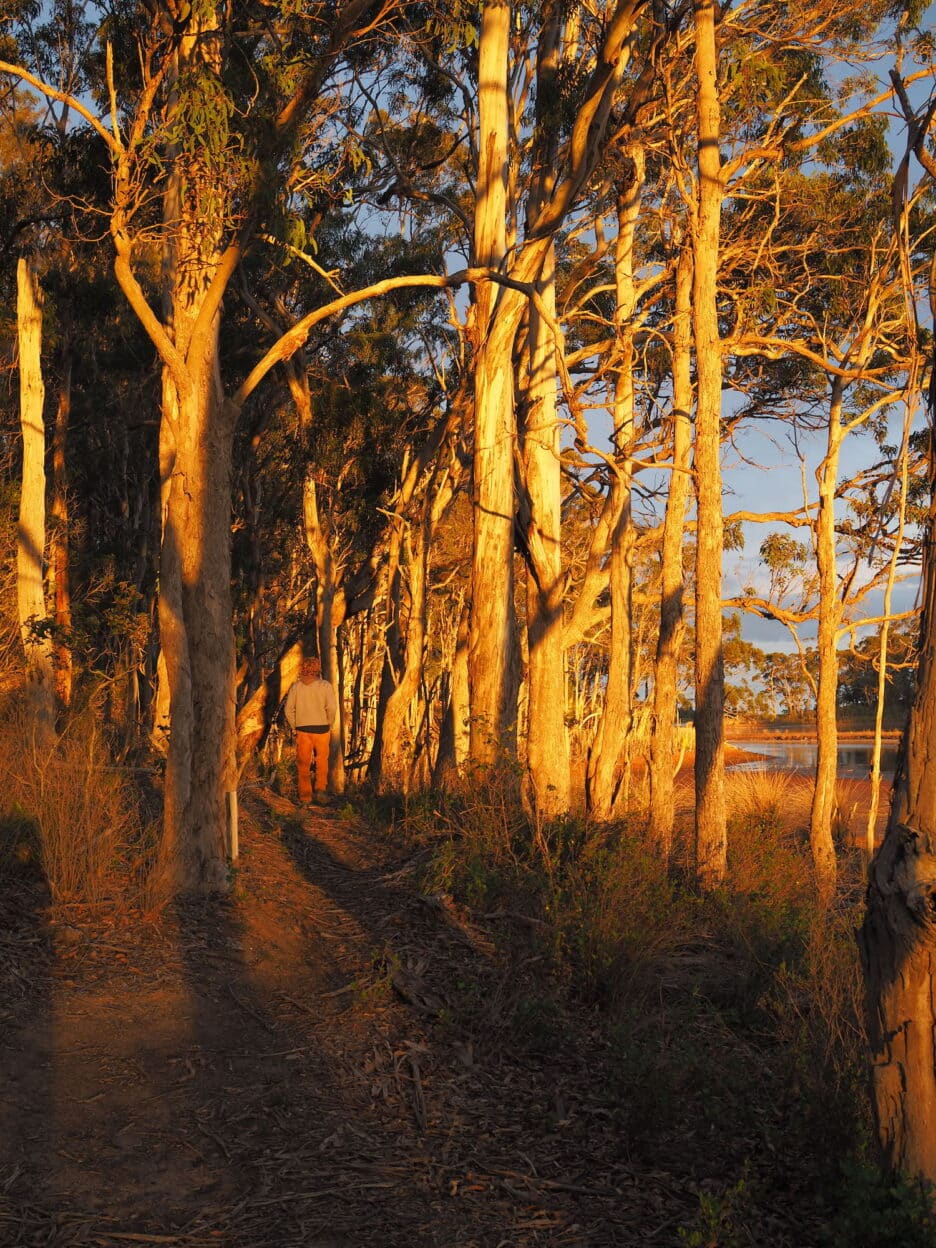 Middle Lagoon Circuit, New South Wales walk