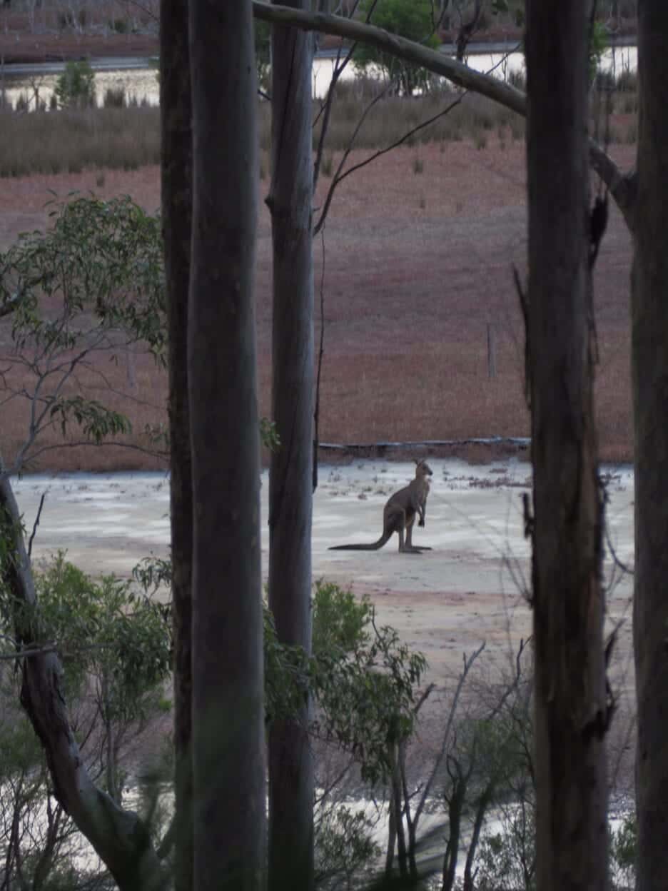 Middle Lagoon Circuit, New South Wales walk