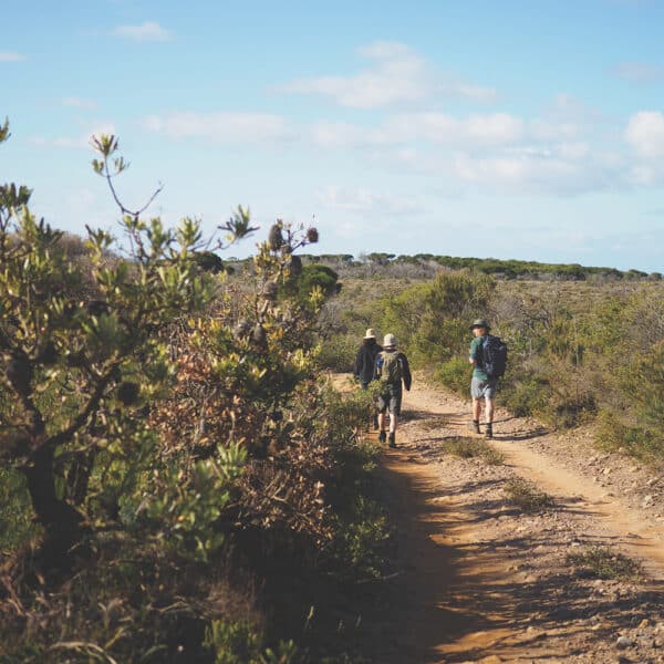 Sapphire Coast, New South Wales walk