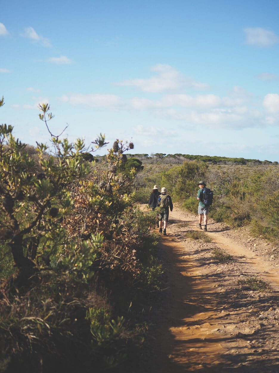 Sapphire Coast, New South Wales walk