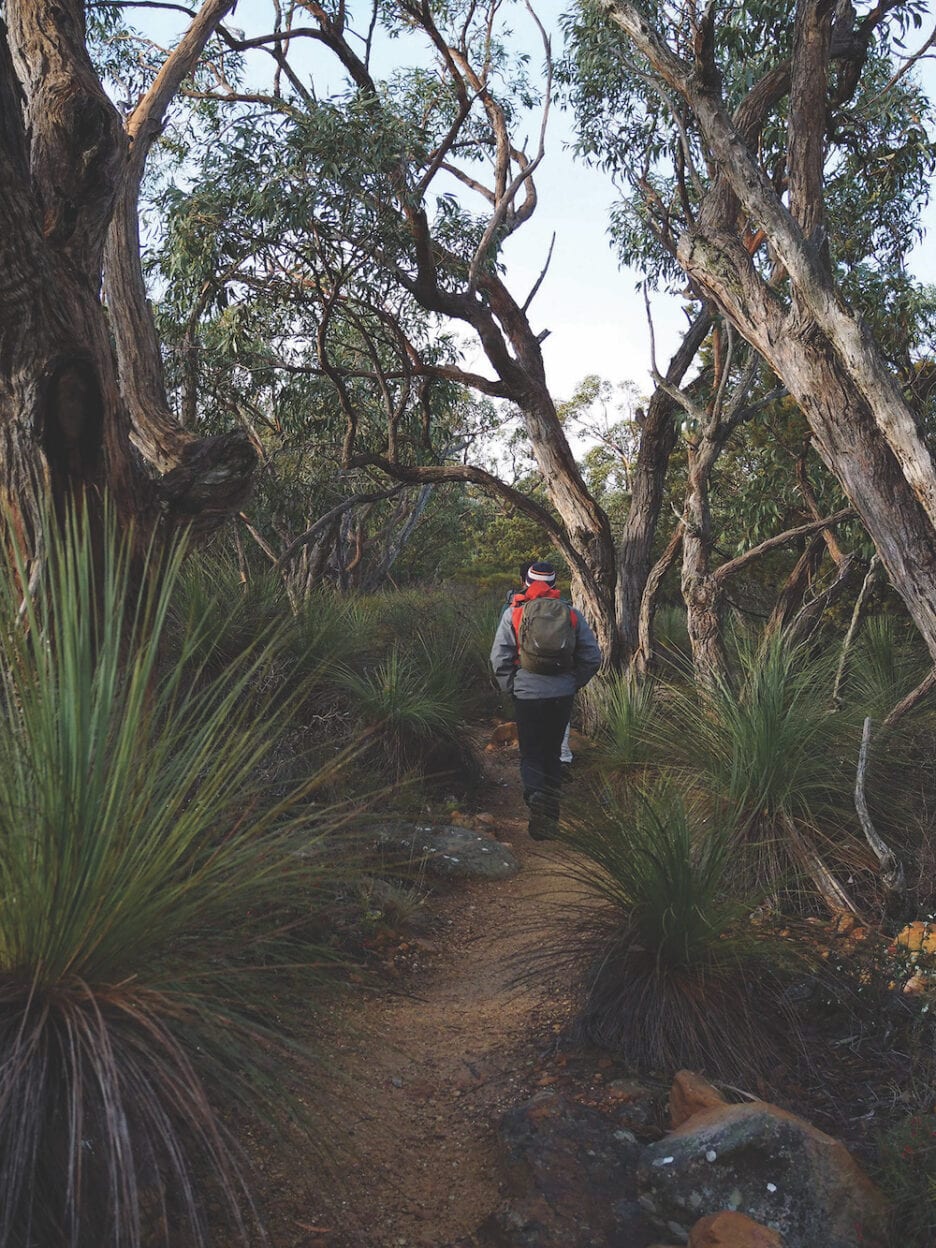 Grampians, Victoria walk