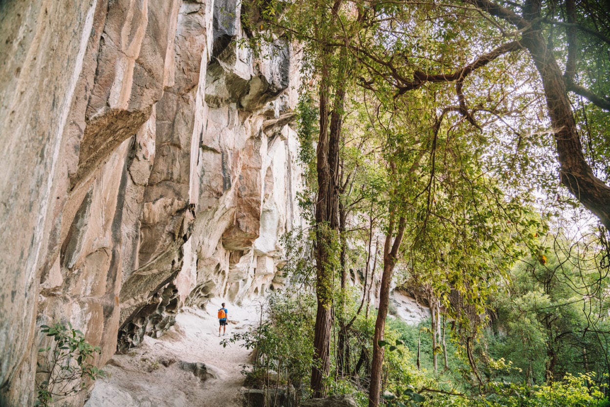 Mount Beerwah walk, Queensland