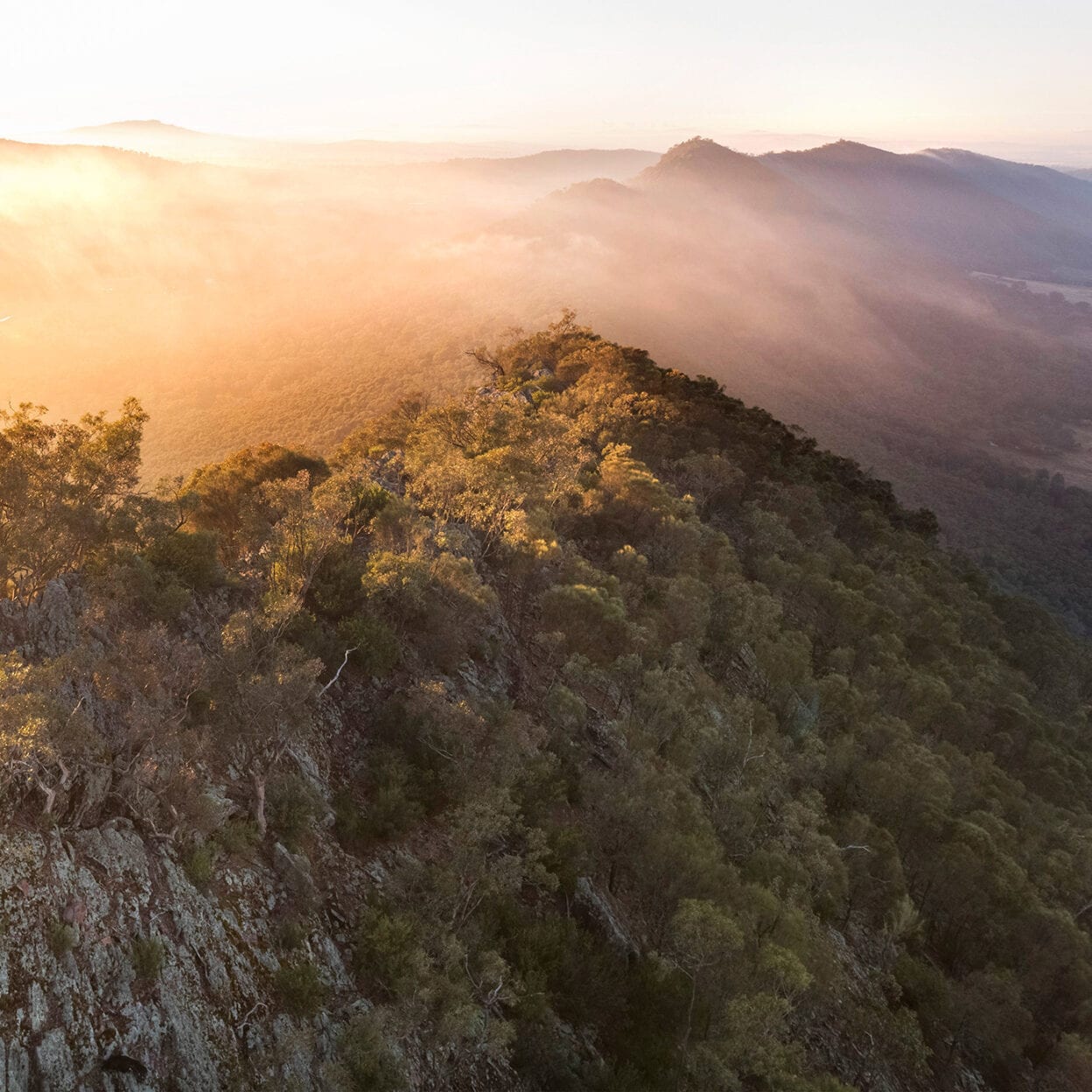 Yerong Walking Track, New South Wales