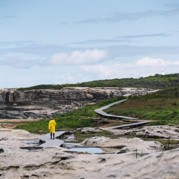 Cape Solander to Cronulla