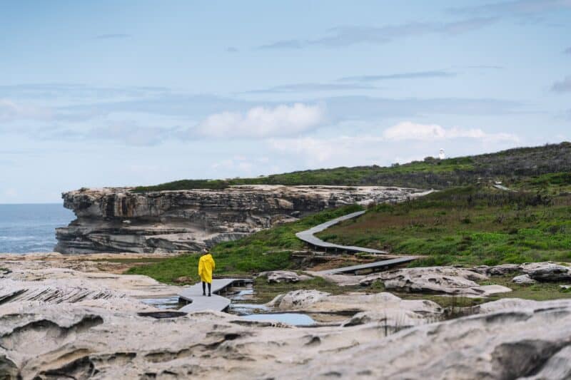 Cape Solander to Cronulla