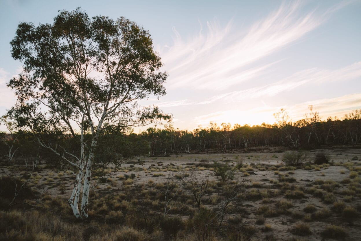 Larapinta Trail Northern Territory 