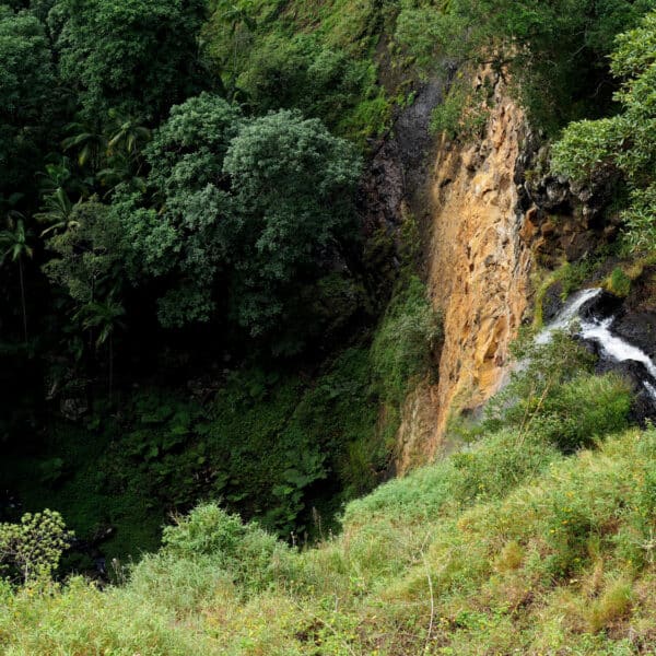 Mapleton Falls, Queensland walk