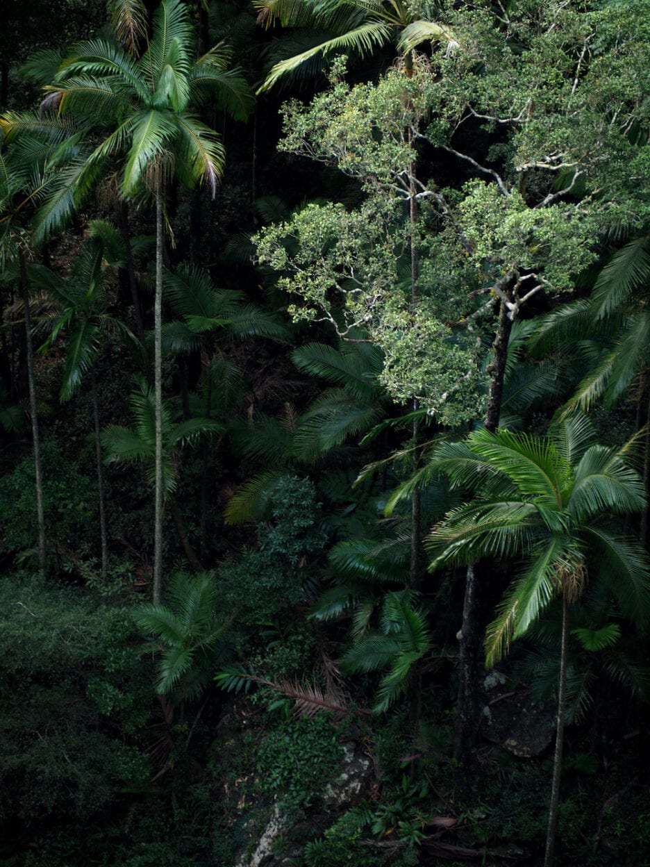 Mapleton Falls, Queensland walk