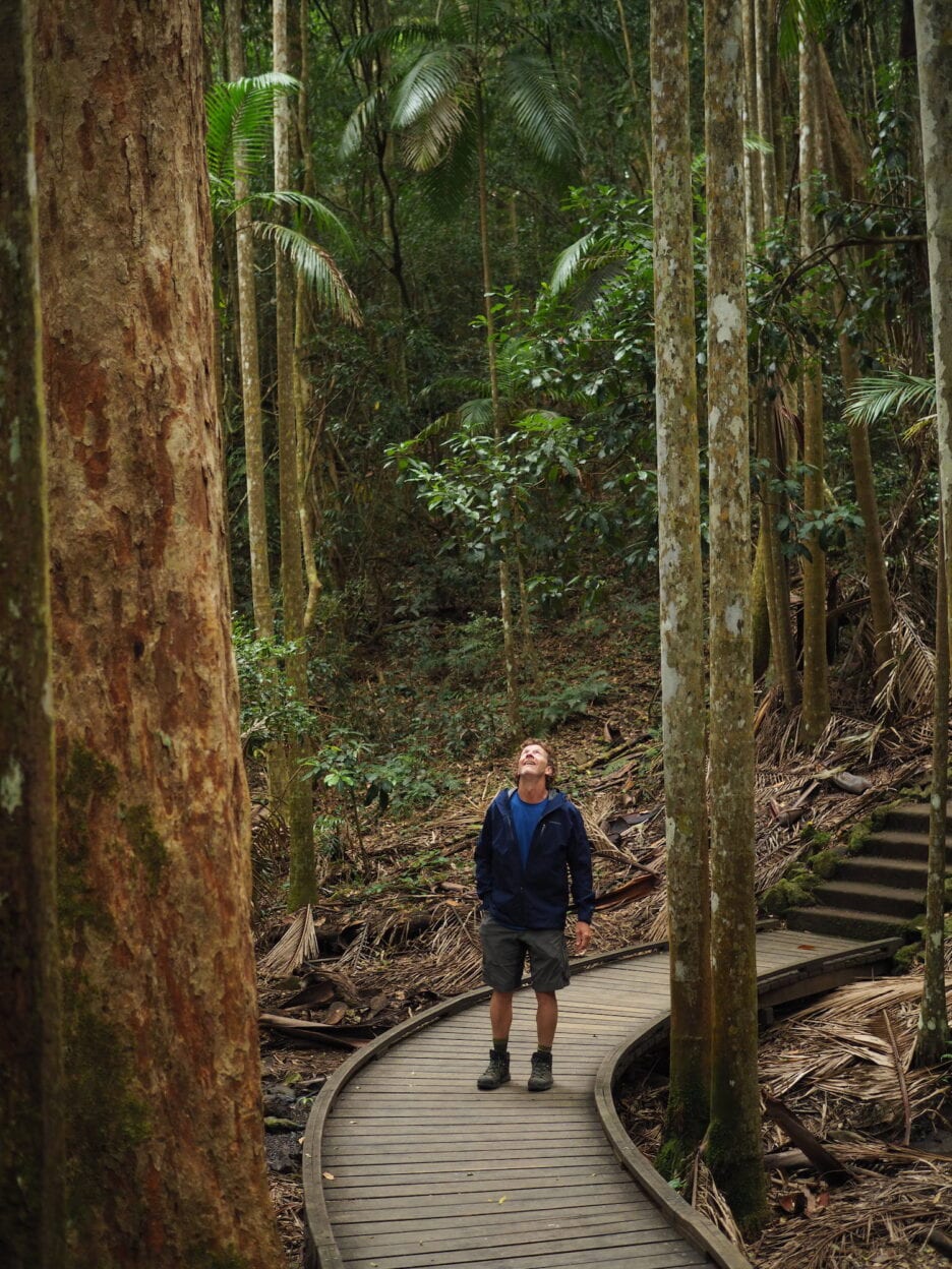 Mapleton Falls, Queensland walk