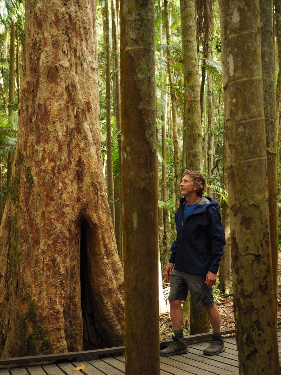 Mapleton Falls, Queensland walk