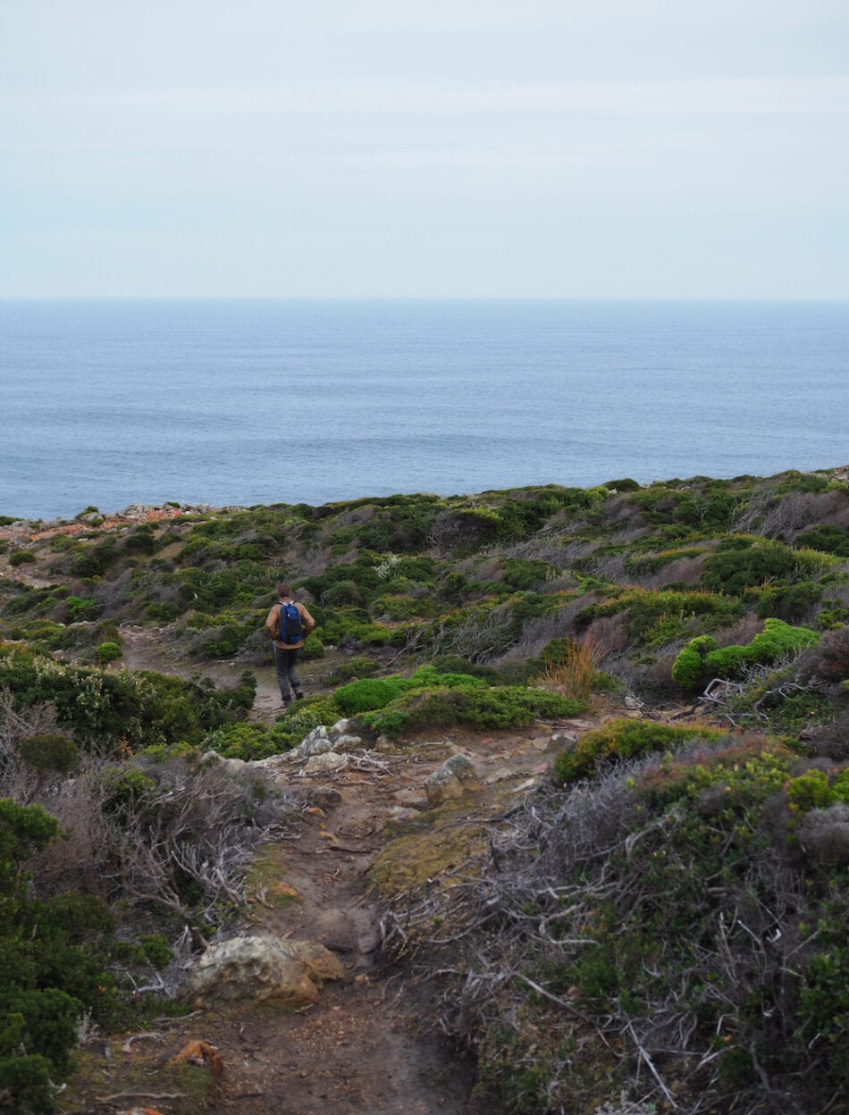 Copperhead Trail, King Island