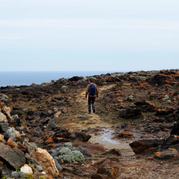 Copperhead Trail, King Island