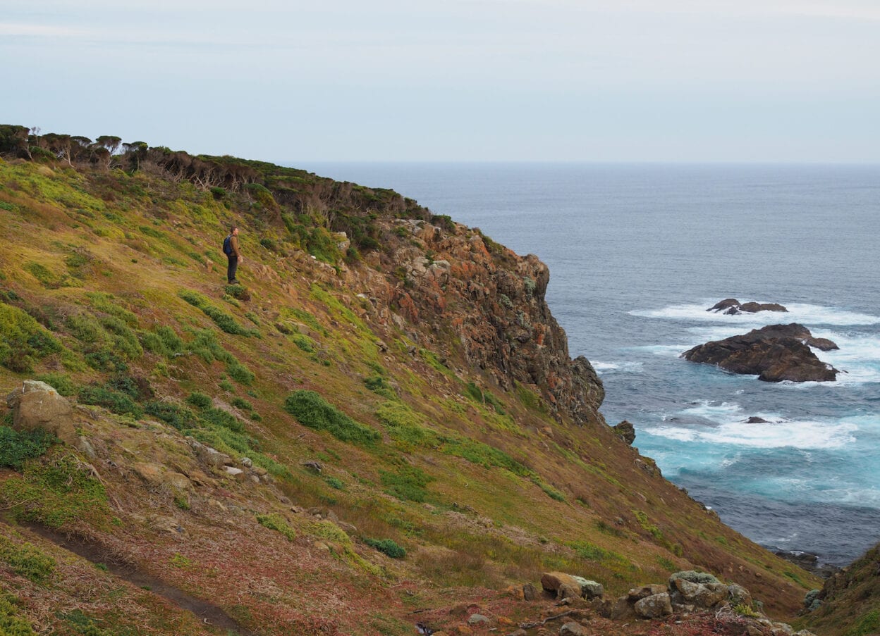 Copperhead Trail, King Island