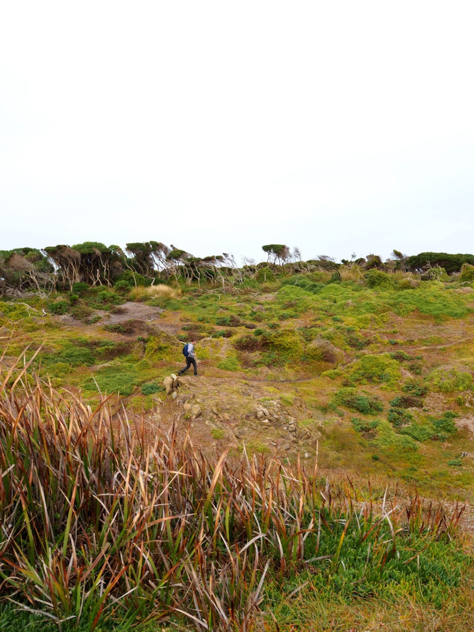 Copperhead Trail, King Island