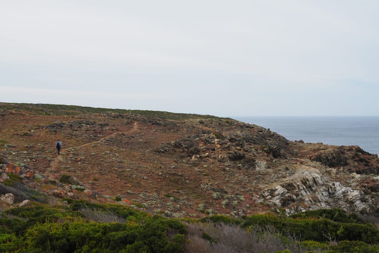 Copperhead Trail, King Island