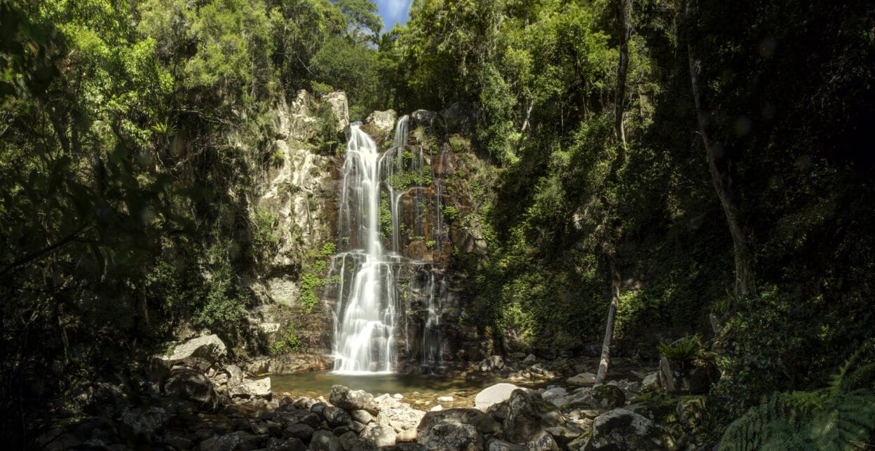 Minnamurra Falls Walk, New South Wales