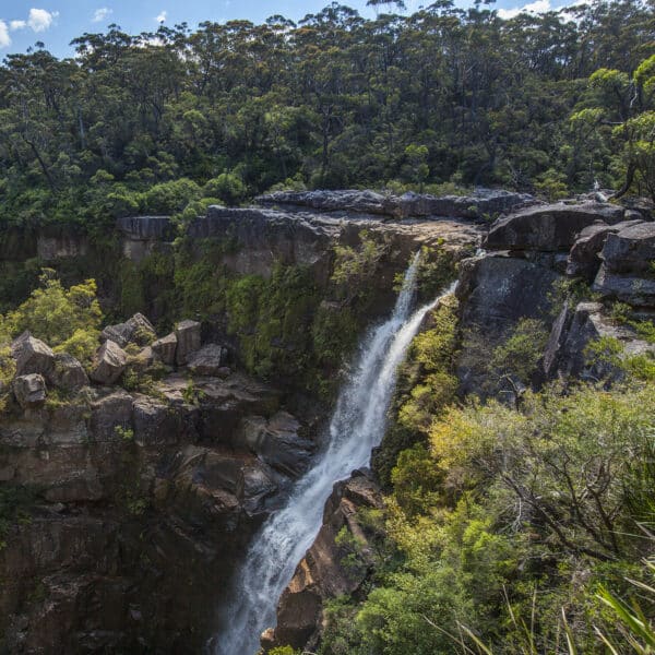 Minnamurra Falls Walk, New South Wales