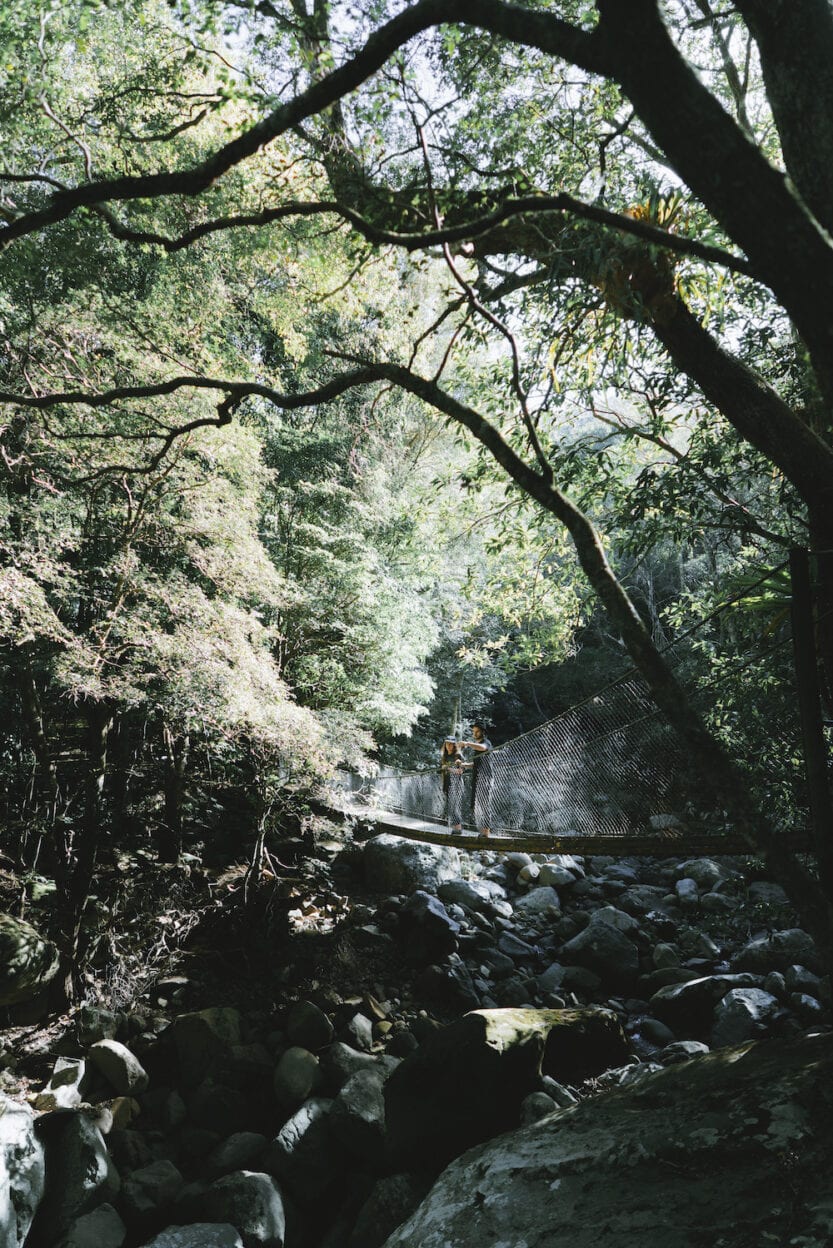 Minnamurra Falls Walk, New South Wales