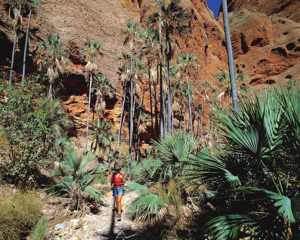 Echidna Chasm, Western Australia