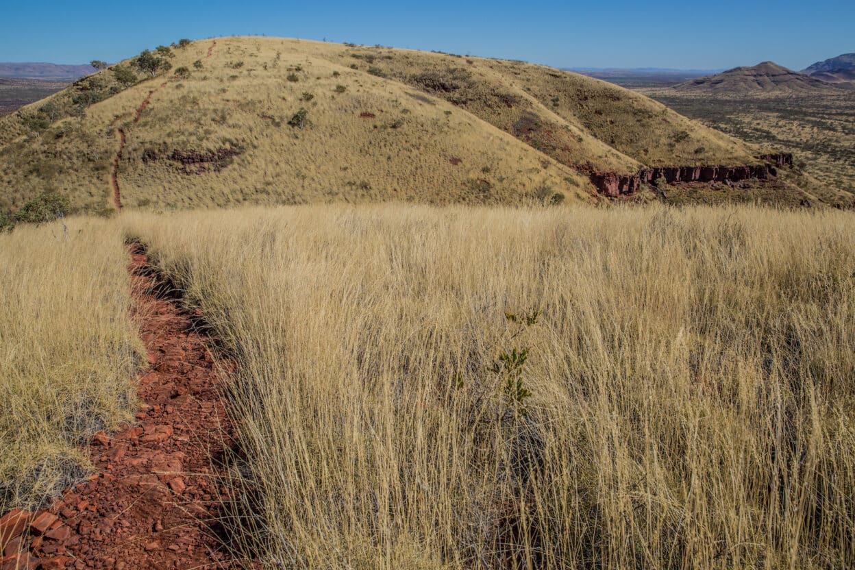 Mount Bruce Trail, Western Australia