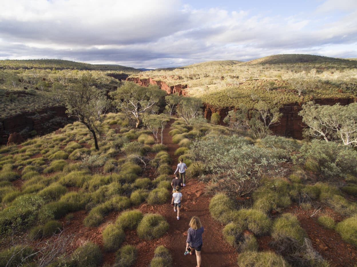 Mount Bruce Trail, Western Australia