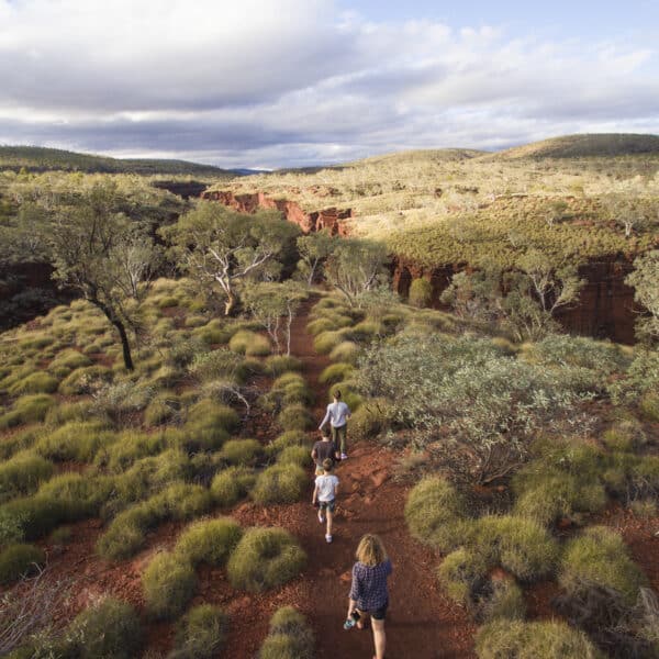 Mount Bruce Trail, Western Australia