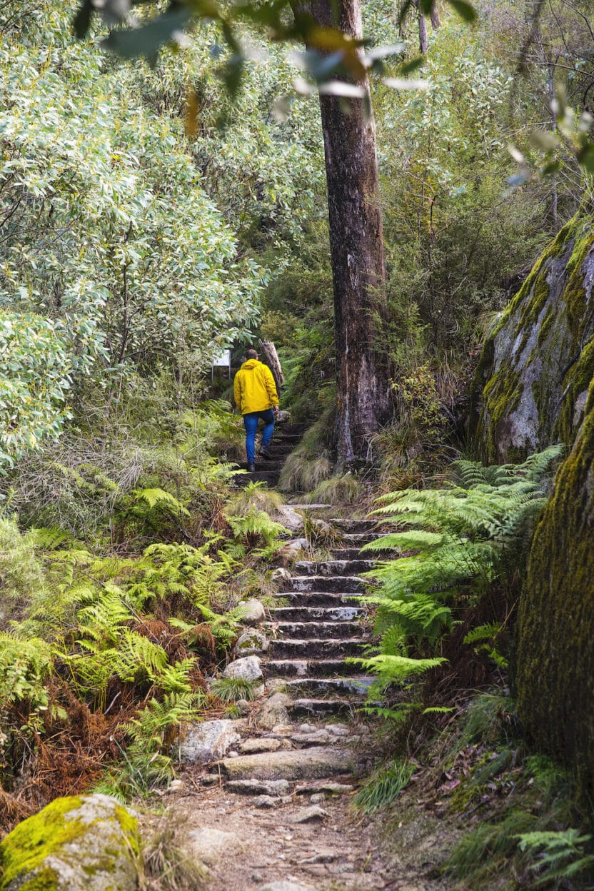 The Horn Track, Victoria