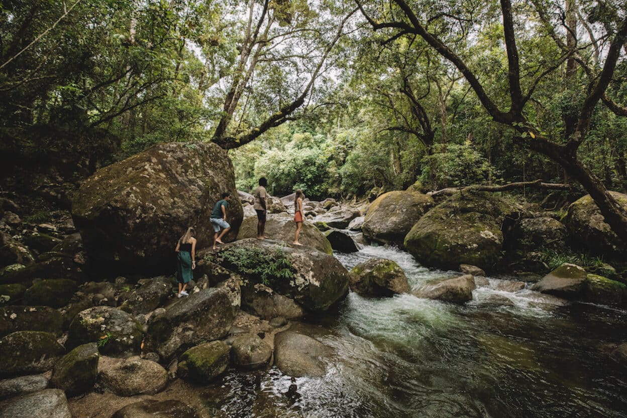 Mossman Gorge, Queensland