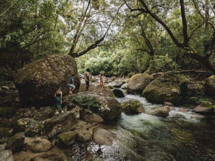 Mossman Gorge, Queensland