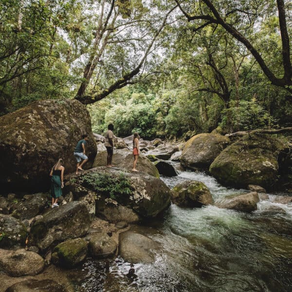 Mossman Gorge, Queensland