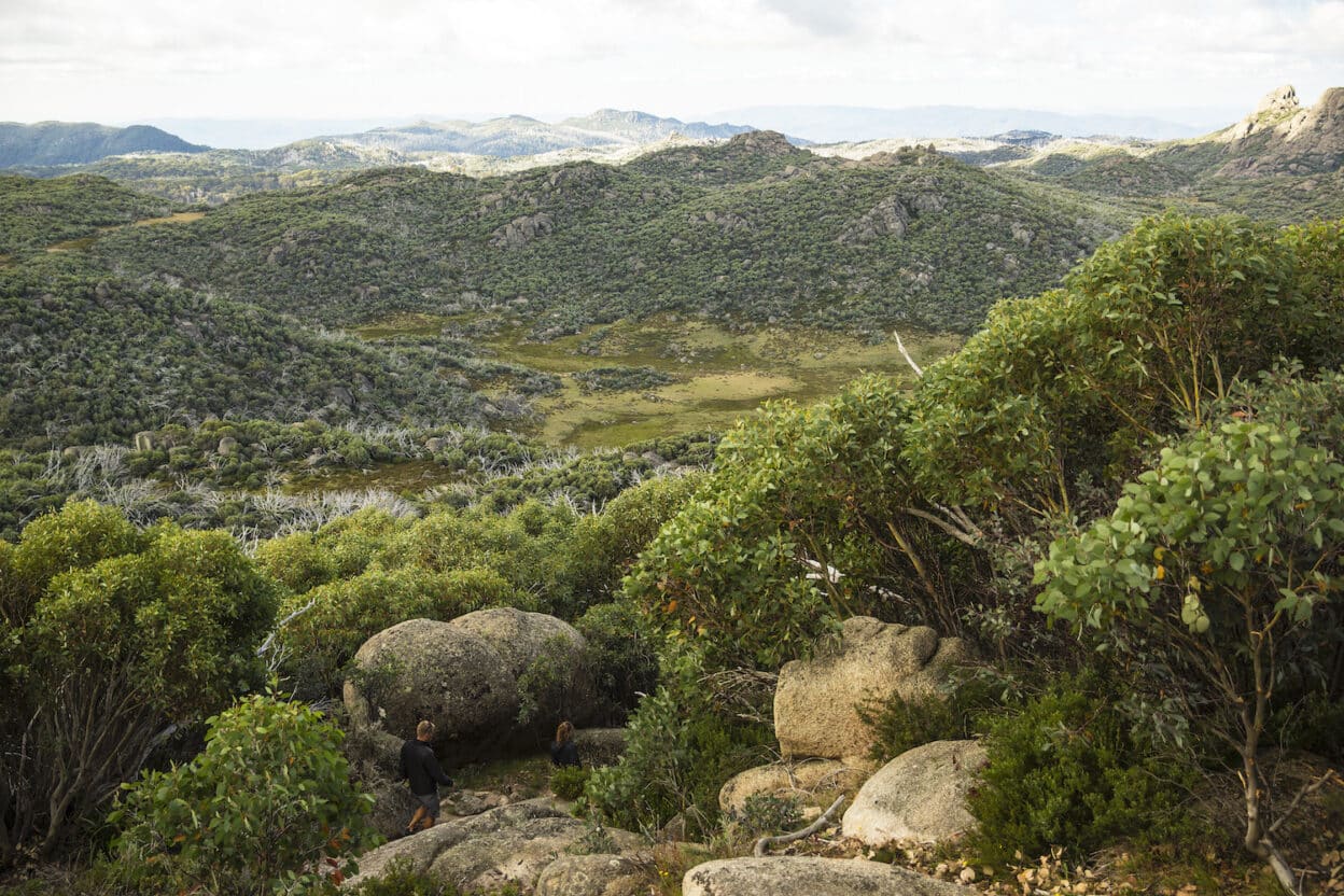 The Horn Track, Victoria