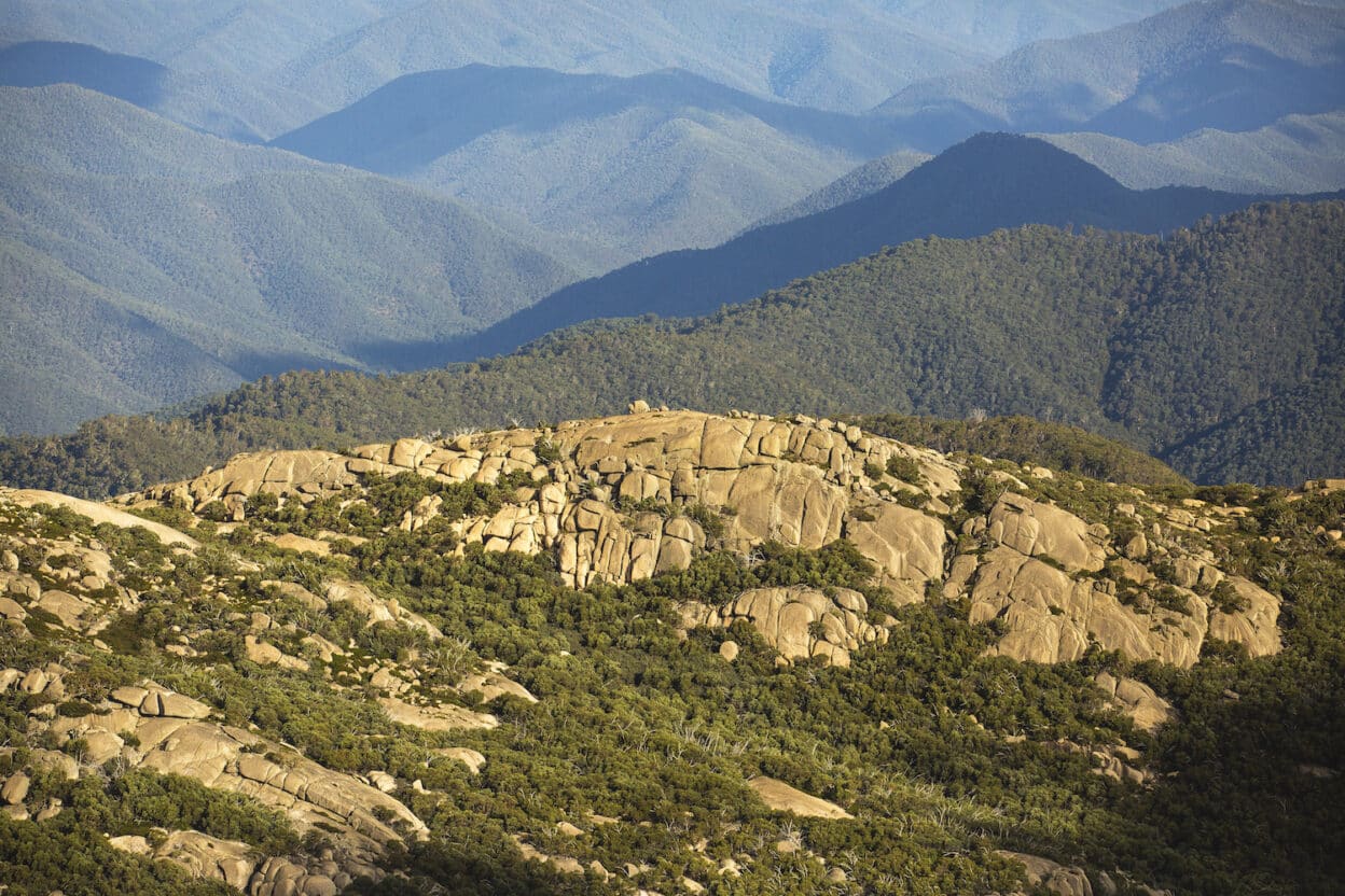 The Horn Track, Victoria