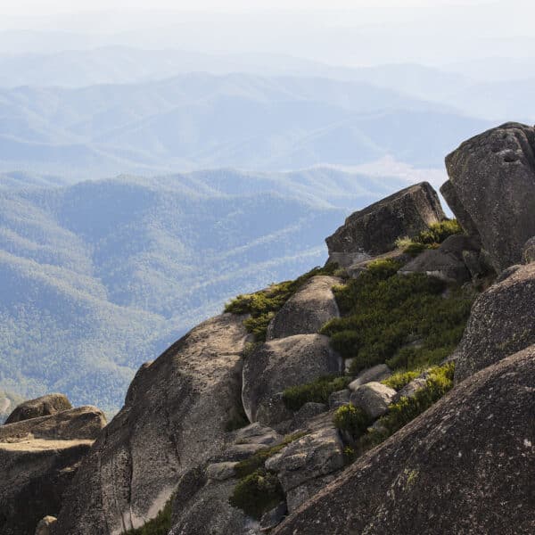 The Horn Track, Victoria