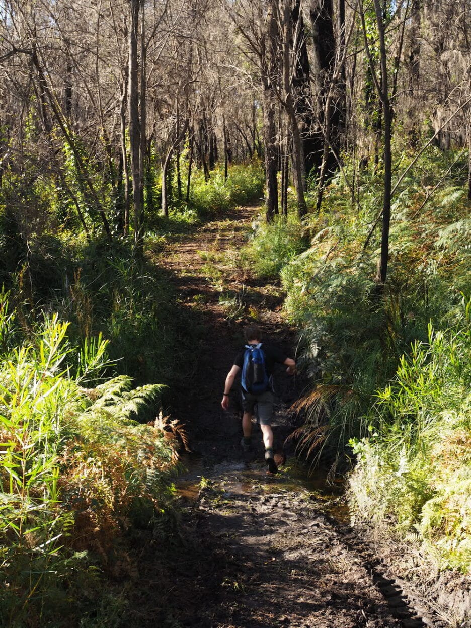 Merrica River Nature Trail, New South Wales